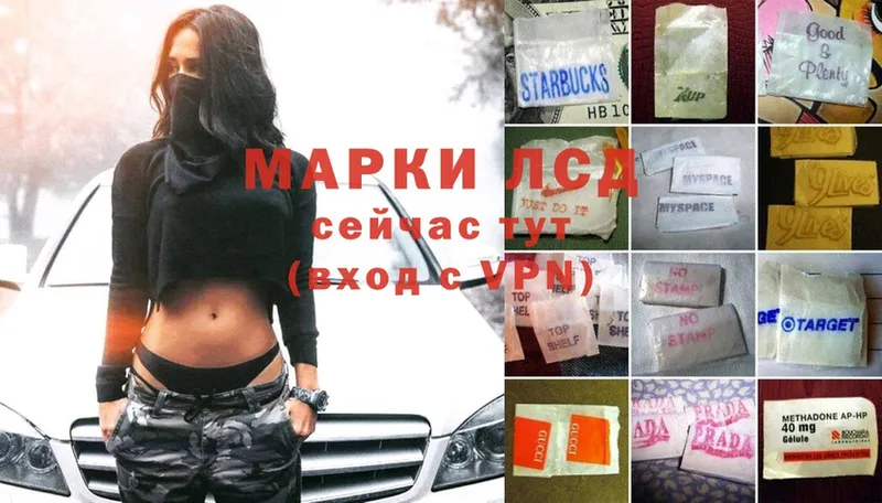 Лсд 25 экстази ecstasy  продажа наркотиков  Дрезна 